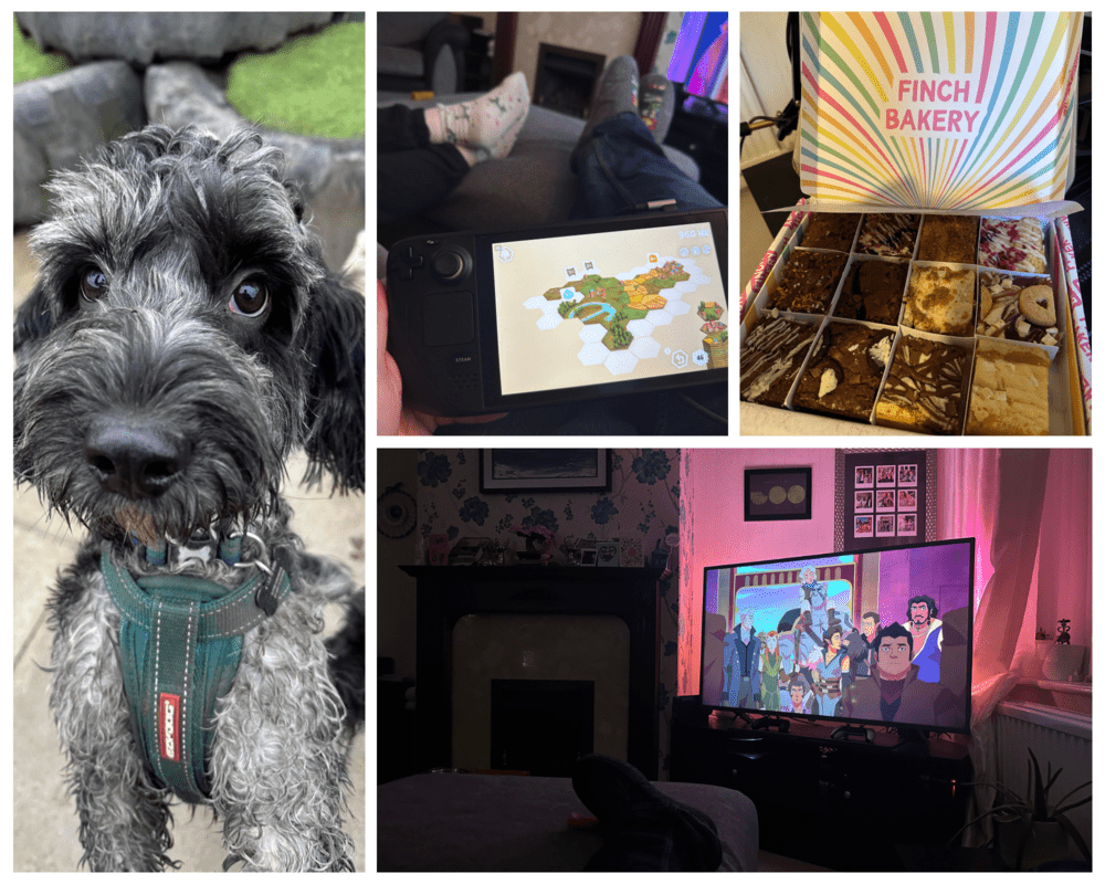 A collage of pictures from January, my dog, Bramley. Me kicked back playing on my Steam Deck. A picture of a brownie delivery box. And the TV playing Legends of Vox Machina